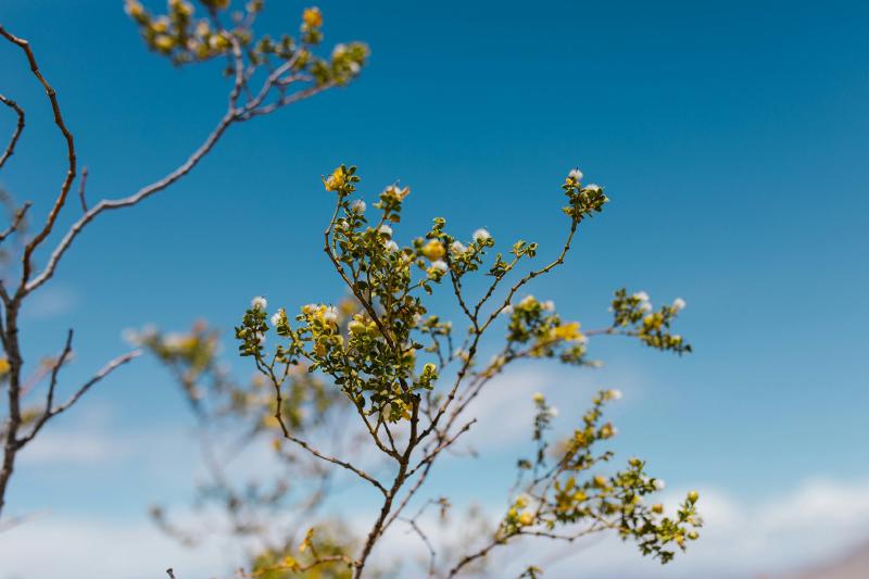 Featured image of post Embracing the Minimalist Lifestyle: A Journey to Simplicity and Fulfillment